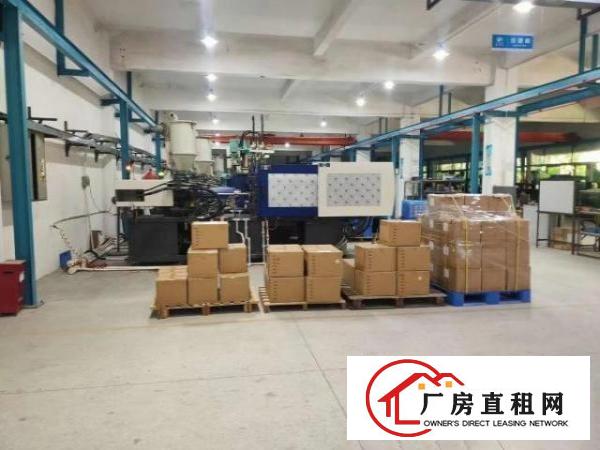  石岩外环路新出精装修厂房一楼厂房