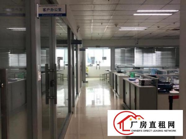  石岩高速入口房东直租五楼整层3218平带吊顶装修厂房出租