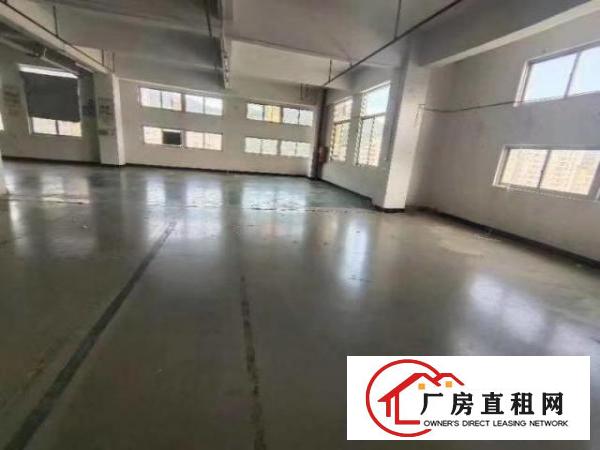  石岩靓房，拎包入住！！！