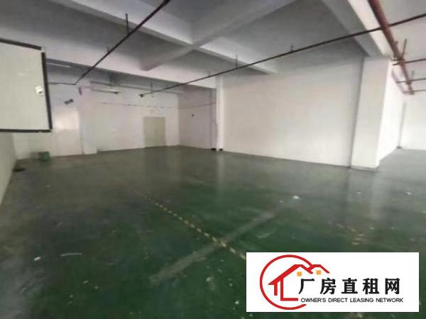  石岩靓房，拎包入住！！！
