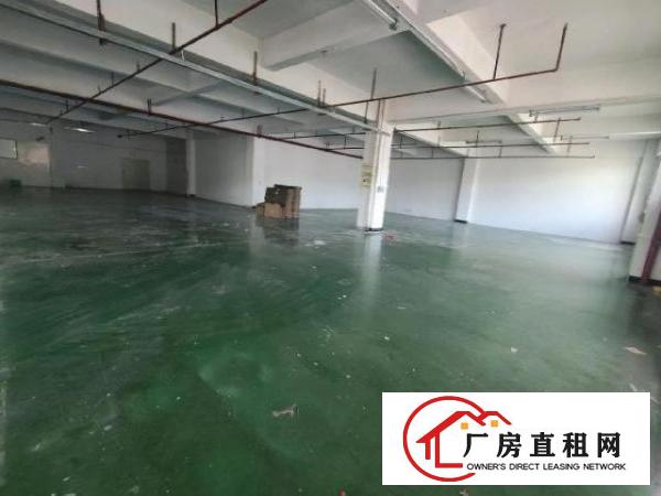  现成装修带现成水电厂房适合各种无污染行业