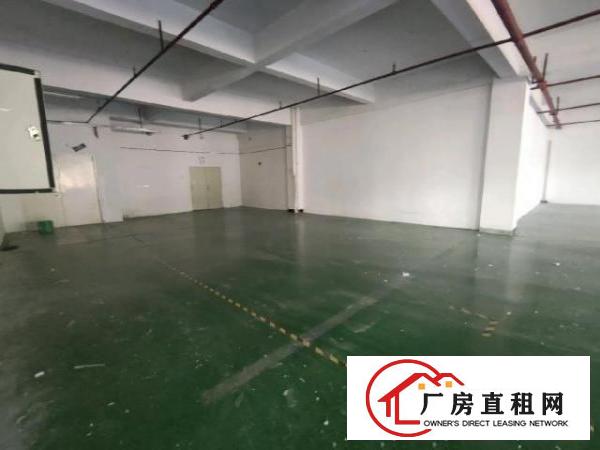 现成装修带现成水电厂房适合各种无污染行业