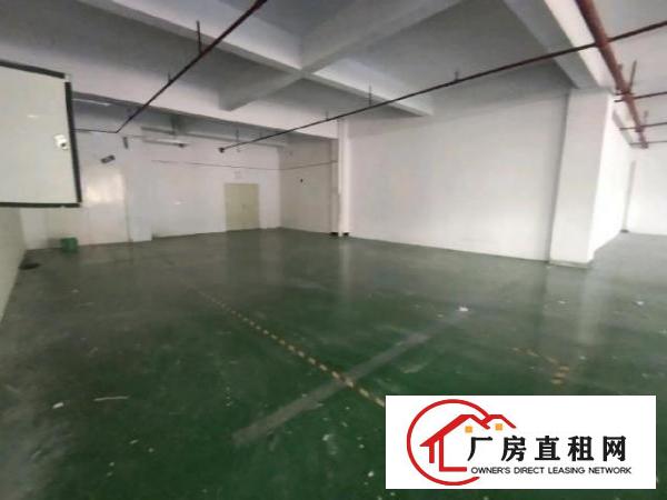 现成装修带现成水电厂房适合各种无污染行业