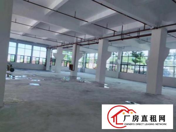  石龙仔靠近龙大高速路口标准厂房出租