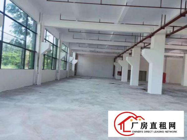  石龙仔靠近龙大高速路口标准厂房出租