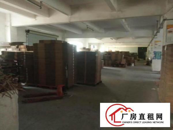  石岩料坑业主厂房直租，带办公室，水电到位