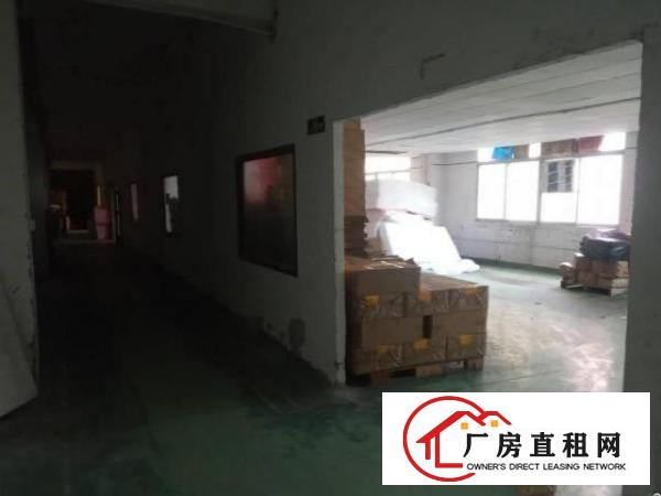  石岩料坑业主厂房直租，带办公室，水电到位