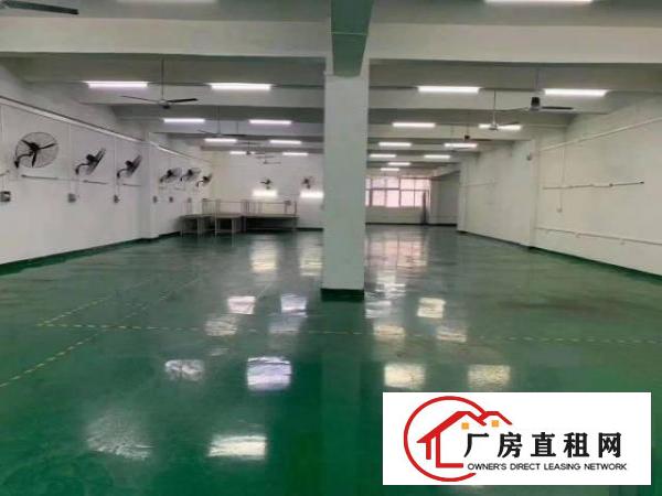  石岩同富裕工业区楼上1100平米带装修厂房