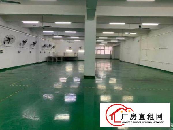  电子厂北环2楼1000平米，现成装修玻璃办公室车间全新地坪漆