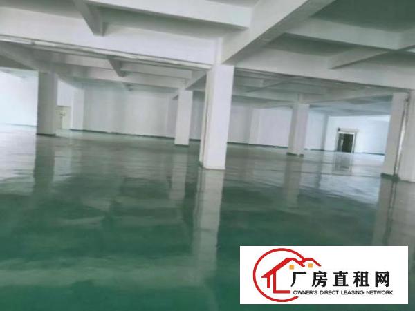  石岩厂房出租，适合各种行业