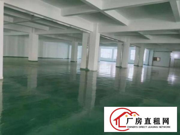  石岩厂房出租，适合各种行业