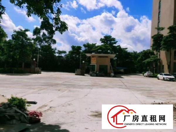  石龙仔工业区新空出一楼带牛角厂房