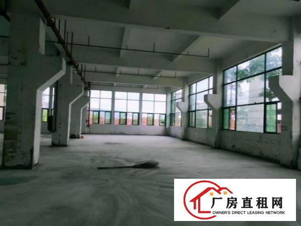  石龙仔工业区新空出一楼带牛角厂房