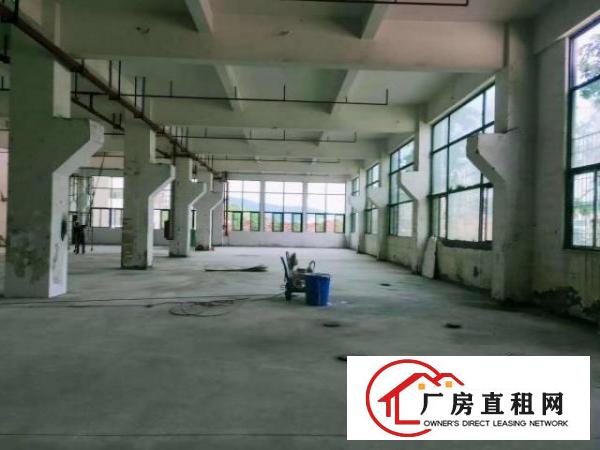  石龙仔工业区新空出一楼带牛角厂房