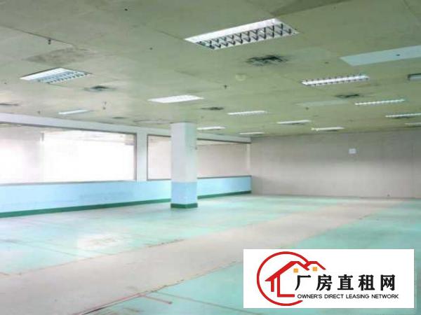  1356平米，价格优惠好房可备案，高层高使用率