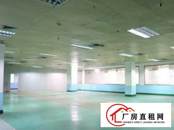  1356平米，价格优惠好房可备案，高层高使用率
