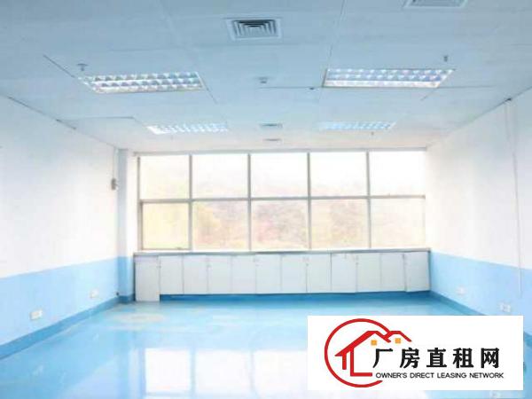  1356平米，价格优惠好房可备案，高层高使用率