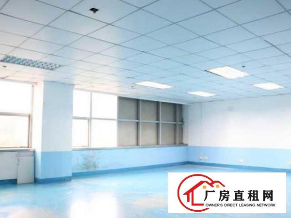  1356平米，价格优惠好房可备案，高层高使用率
