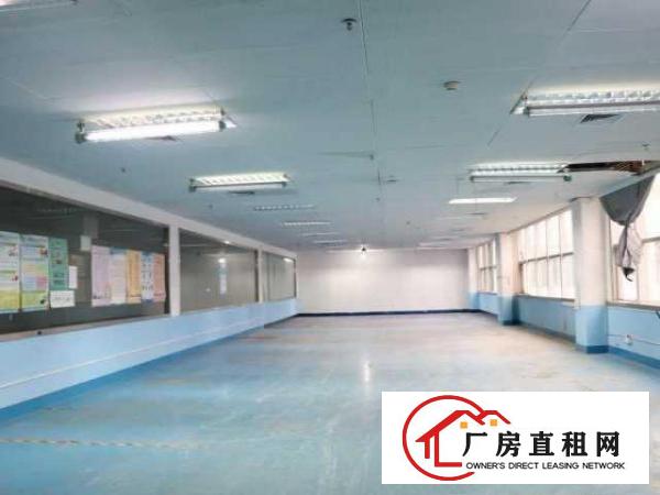  1356平米，价格优惠好房可备案，高层高使用率