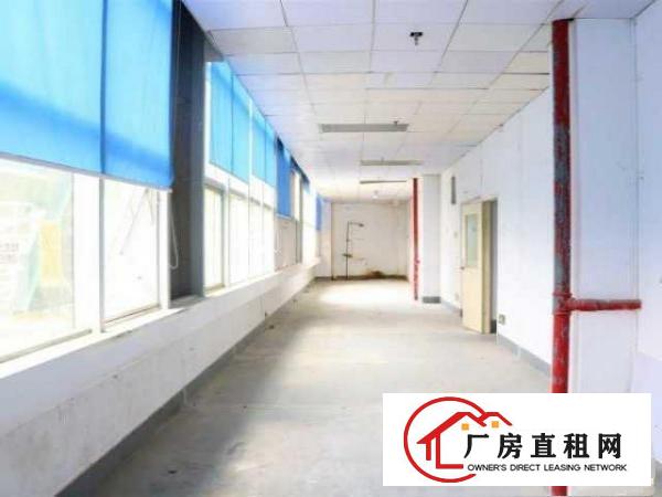  2726平米，优惠好房可备案，高层高使用率