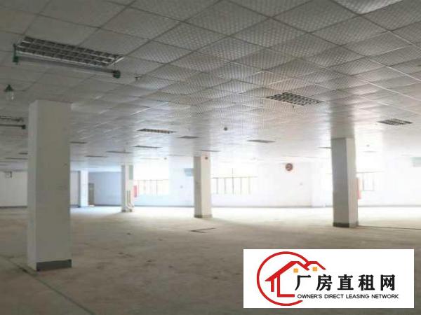  2726平米，优惠好房可备案，高层高使用率