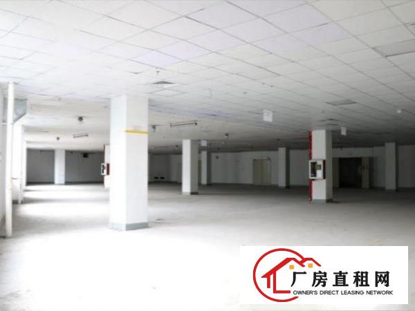  2726平米，优惠好房可备案，高层高使用率