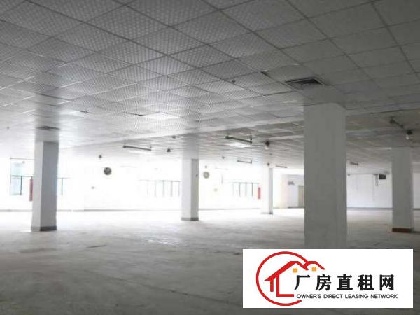  2726平米，优惠好房可备案，高层高使用率