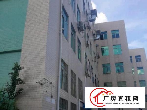  一楼厂房出租，园区形象好绿化好空地大