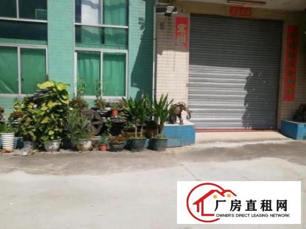 一楼厂房出租，园区形象好绿化好空地大