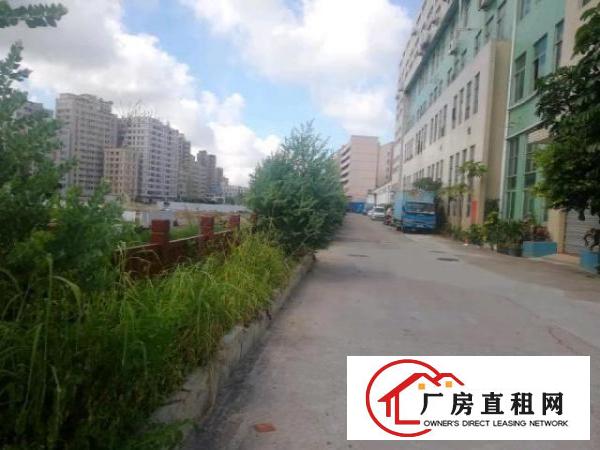  一楼厂房出租，园区形象好绿化好空地大