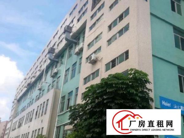  一楼厂房出租，园区形象好绿化好空地大