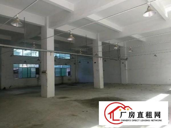  标准厂房，无公摊实际面积出租