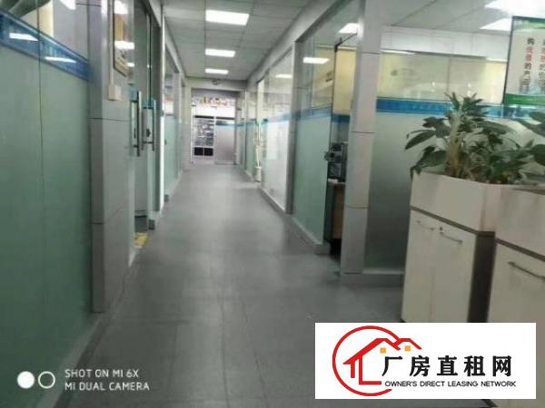  原房东花园式独门独院厂房出租