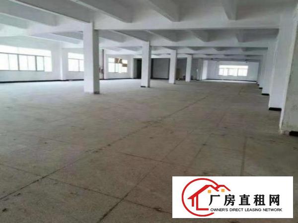  独门独院，园区空地大停车免费