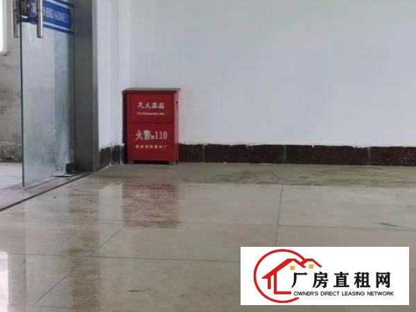  独门独院，园区空地大停车免费