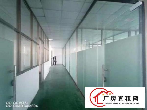  长安沙头全新重工业厂房带豪华装修1490平招租