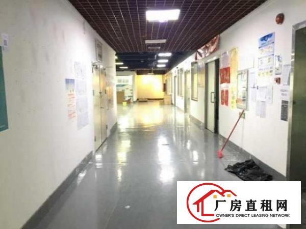  495平米，优惠好房可备案，高层高使用率