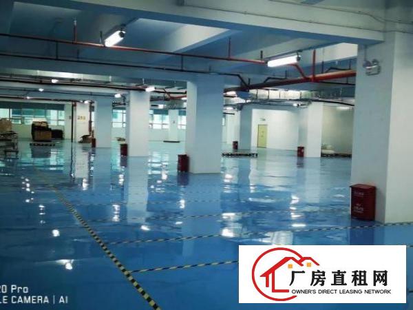  园区形象非常漂亮，里面精装修