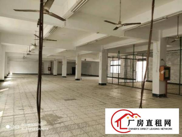  石岩汽车站附近二楼厂房2000平方出租