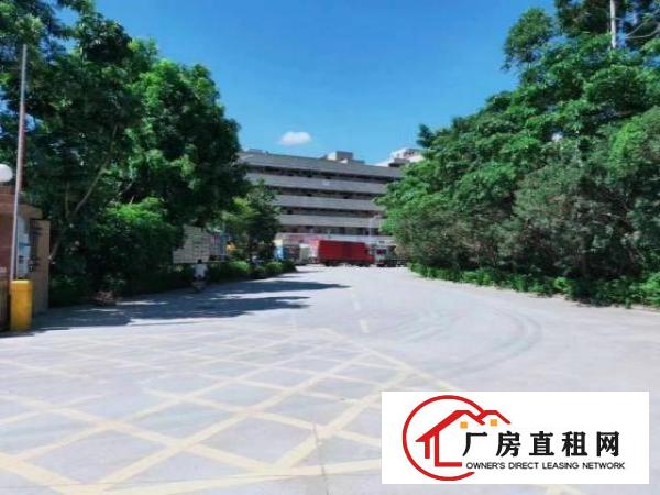  石岩水田第四工业区1楼1580平带牛角层高6米