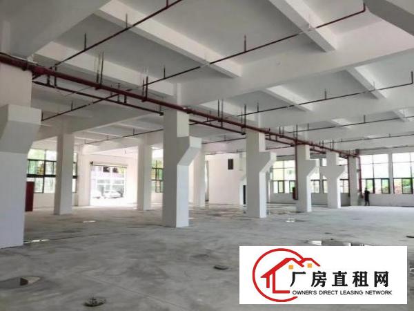  石岩水田第四工业区1楼1580平带牛角层高6米