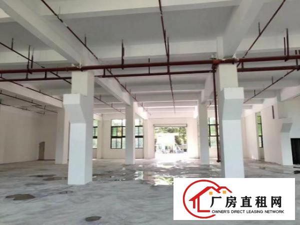  石岩水田第四工业区1楼1580平带牛角层高6米