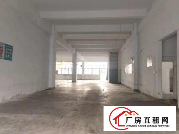  一手物业高使用率厂房出租