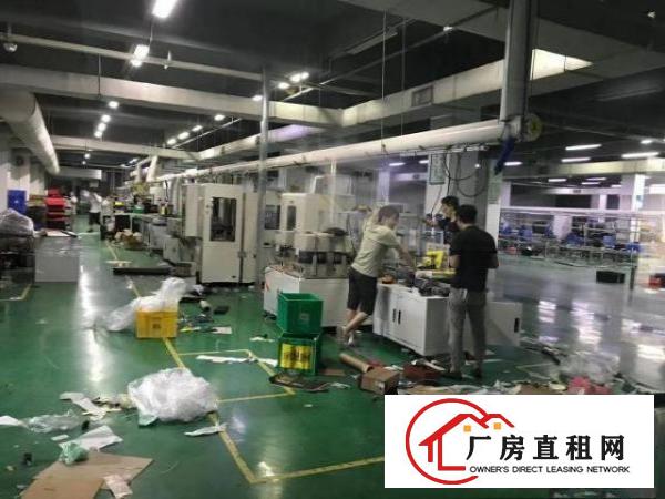  原房东直租，大小可分。500起分