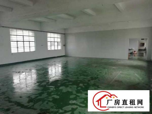  出租宝安区石岩石龙仔九泰工业园