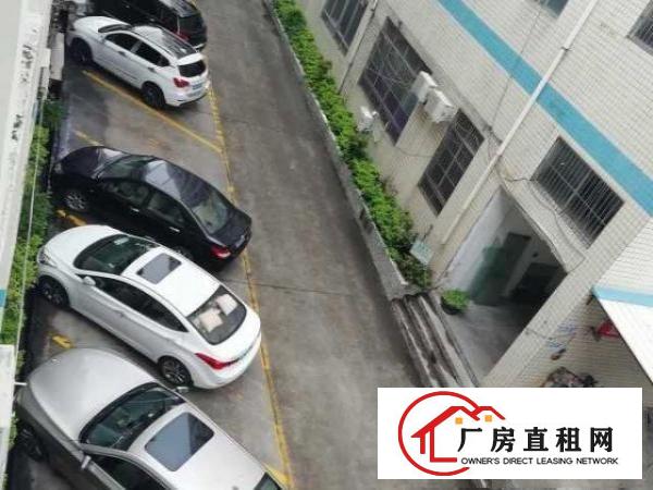  出租宝安区石岩石龙仔九泰工业园