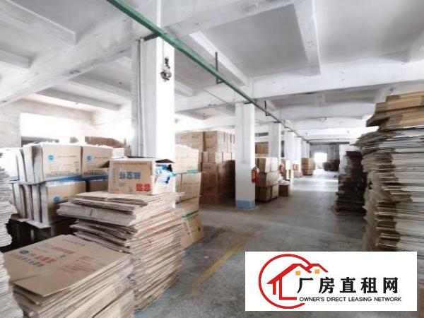  独门独院工业厂房，精装修
