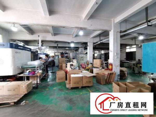  独门独院工业厂房，精装修