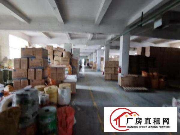  独门独院工业厂房，精装修