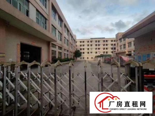  新出原房东独院厂房1至3层4500平